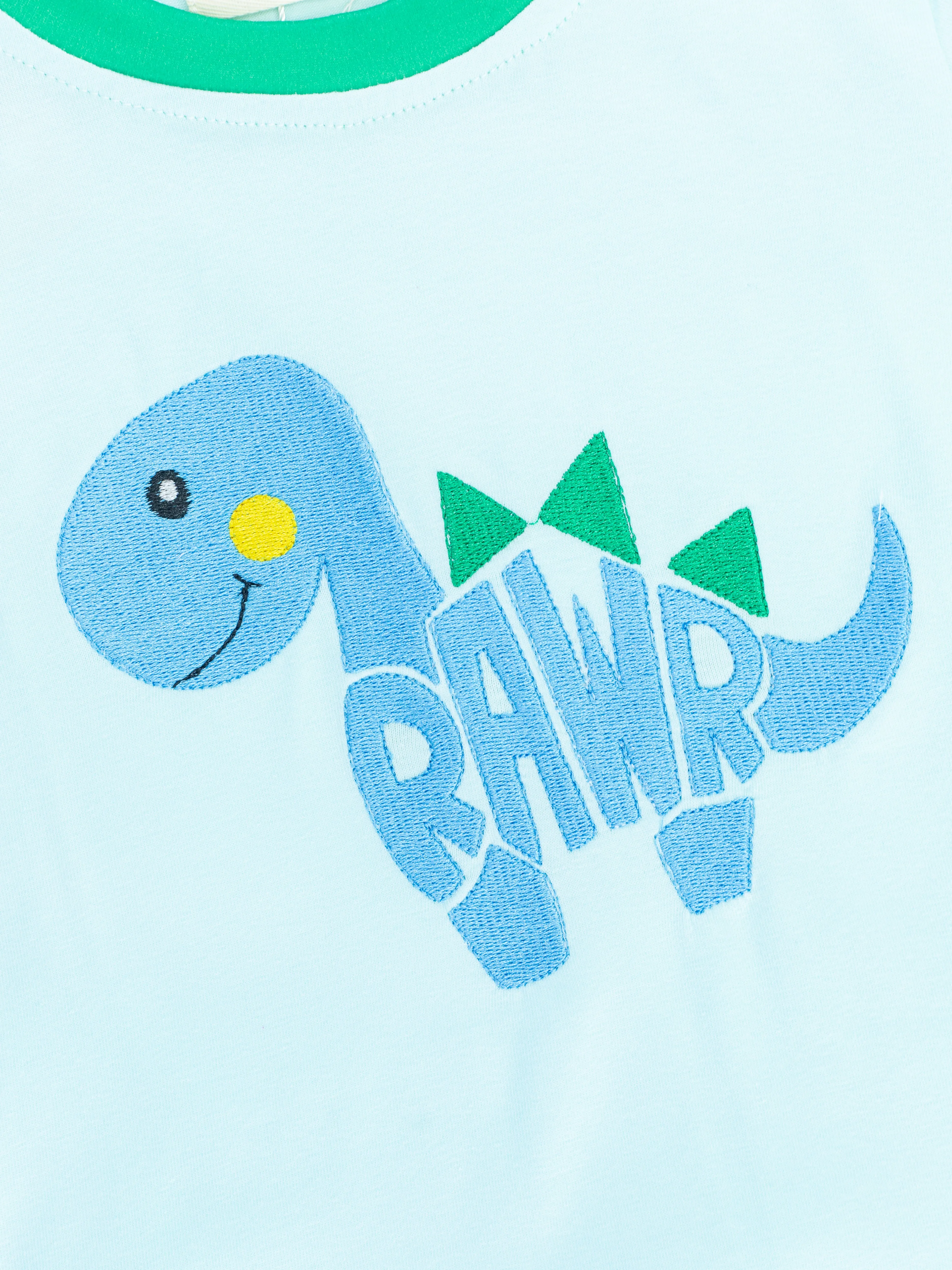 Baby Blue "Rawr" Shirt