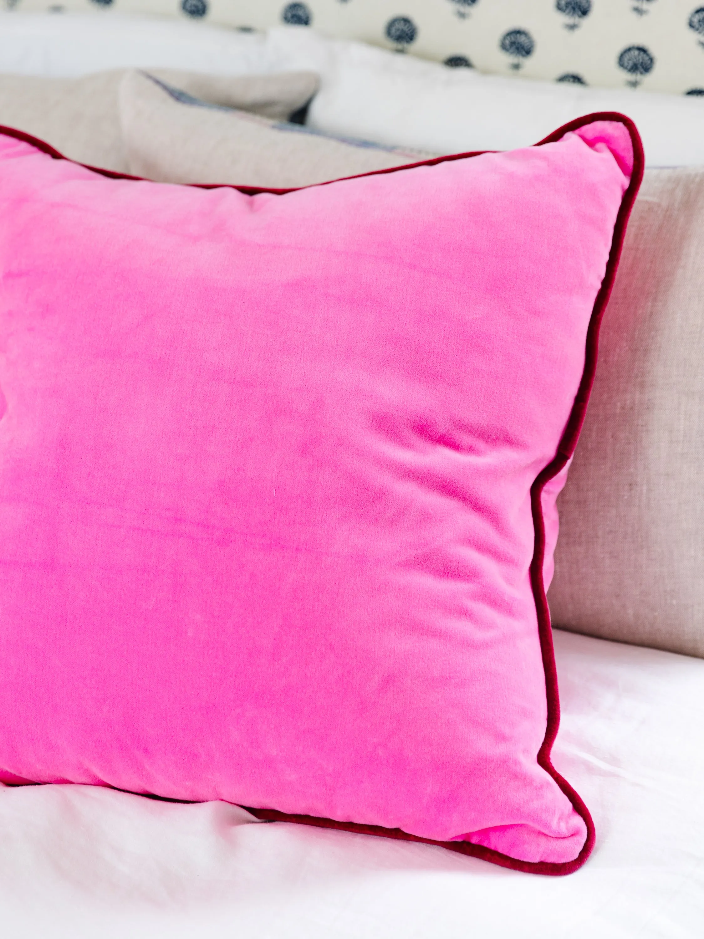 Charliss Velvet Pillow - Neon Pink   Wine