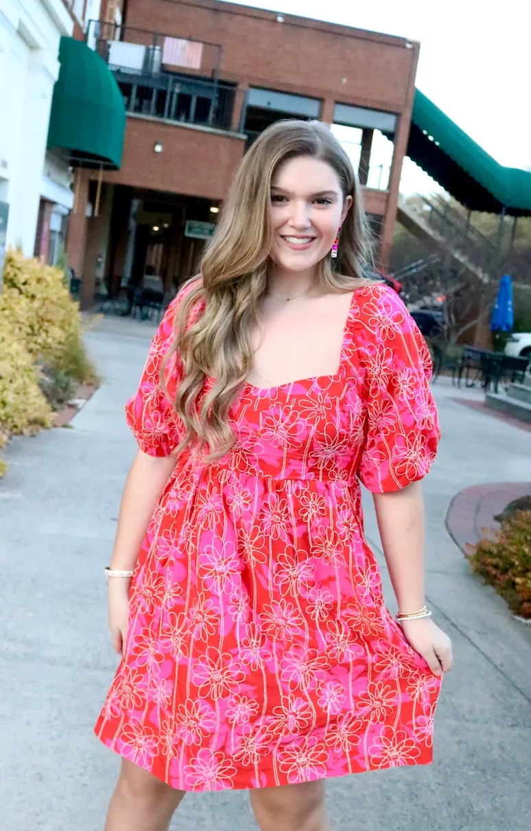 Embroidered Sweetness Dress