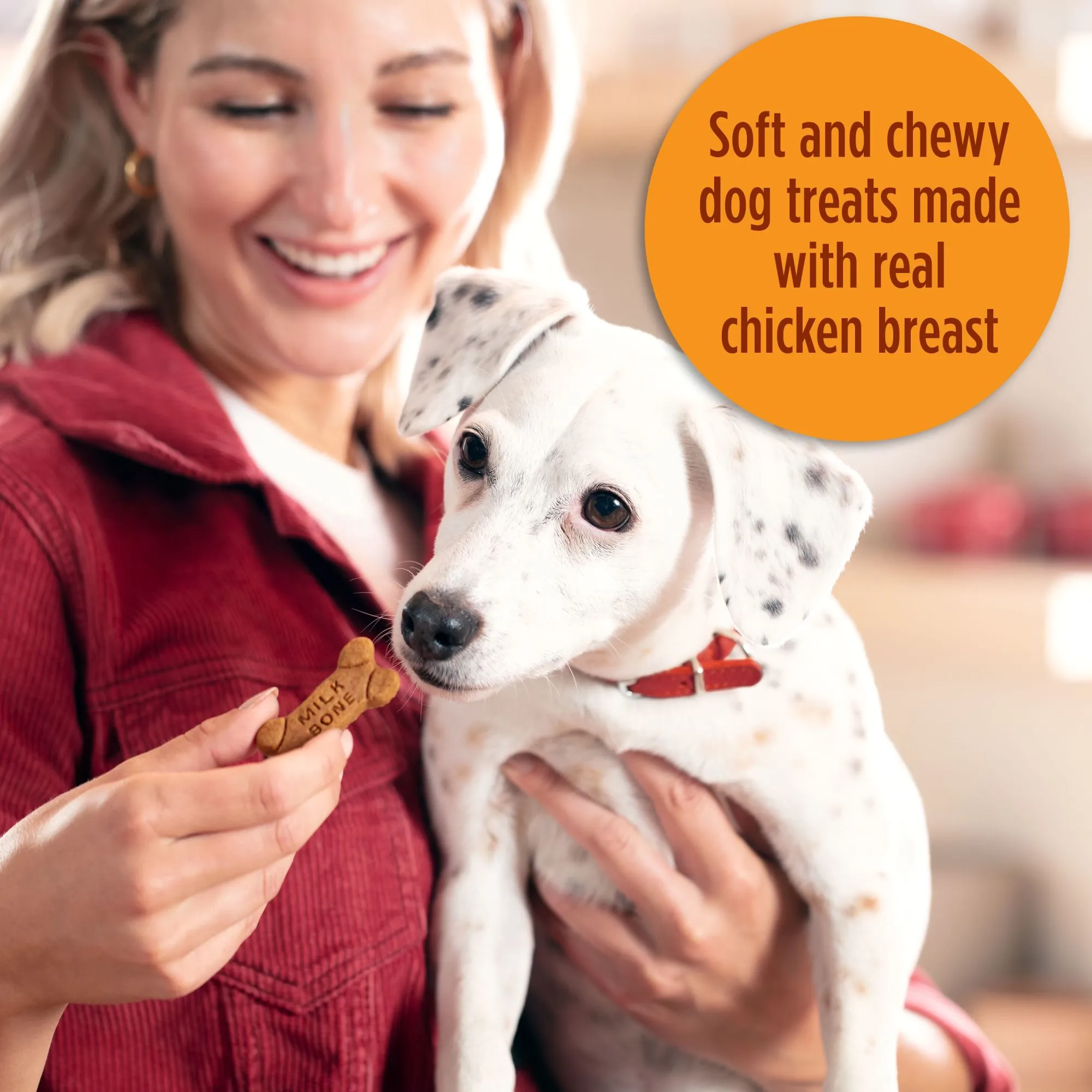 Milk-Bone Soft and Chewy Dog Treats, Chicken Recipe With Chicken Breast, 5.6oz bag