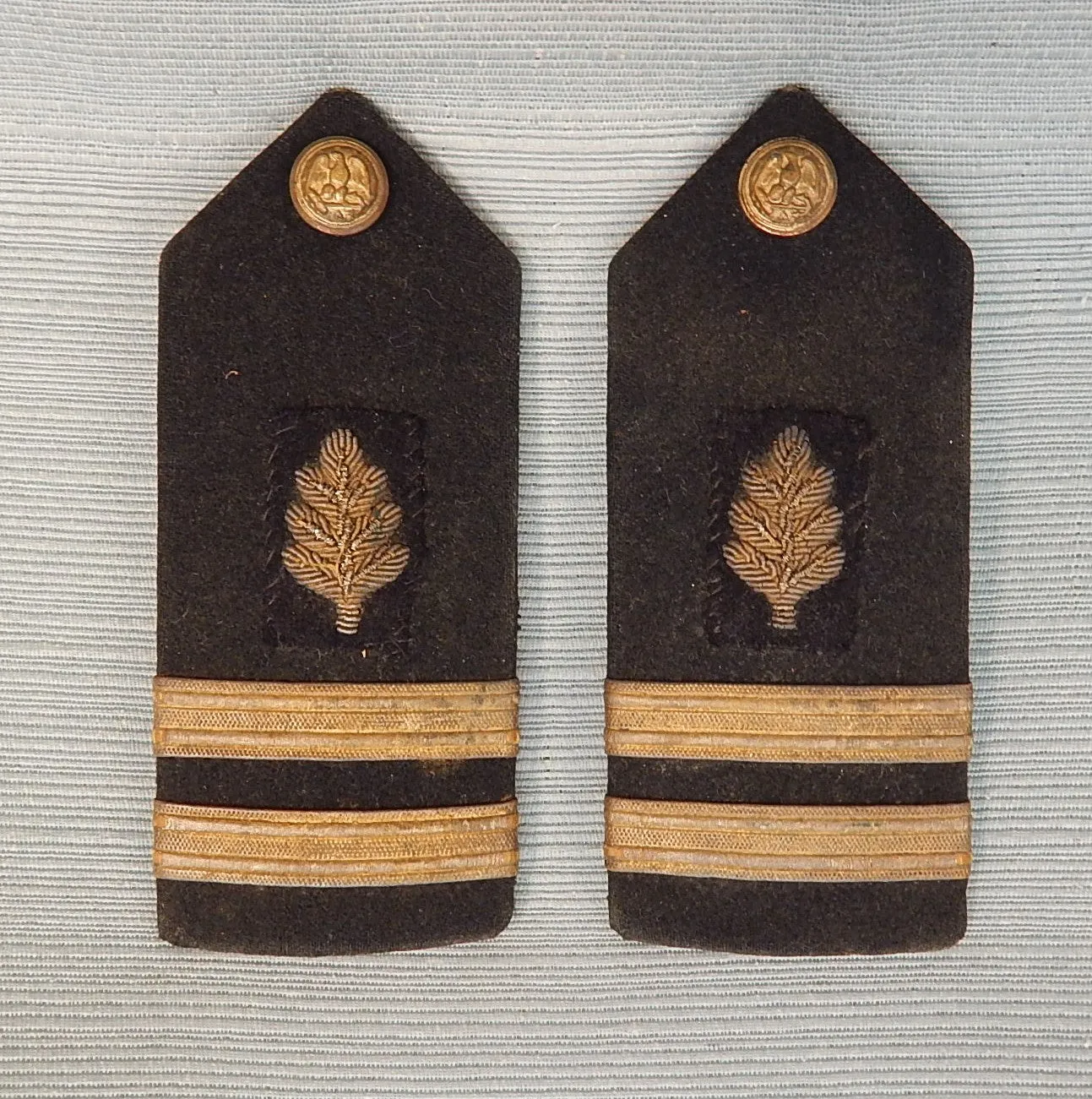 WWII U.S. Navy Medical Officer Cap and Insignia